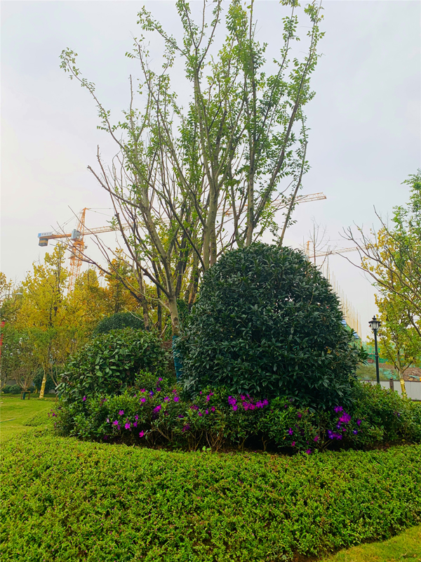 重慶恒大云湖上郡首期剩余期及紅線(xiàn)外園建工程